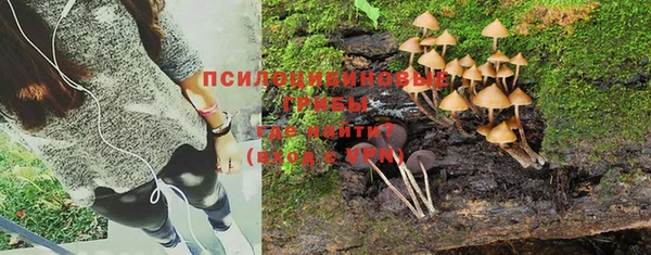 стаф Мегион